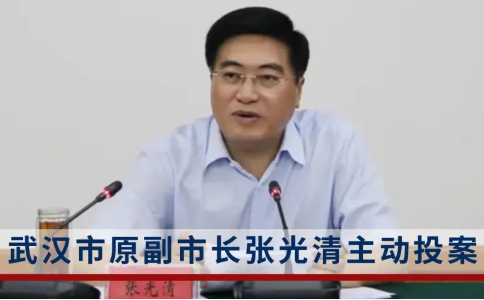 湖北省武汉副市长张光清被纪委调查|张光清个人资料