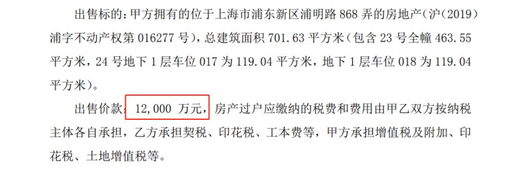 山东土豪1.2亿拿下700平方米上海江景豪宅|岳红伟个人资料