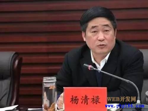 南阳市委副书记陈光杰被查 今年河南打了哪些老虎?
