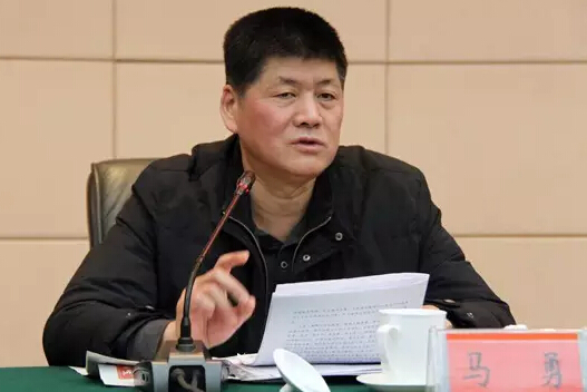 湖南省委副秘书长马勇被中纪委调查曾将女服务员提携成公务员