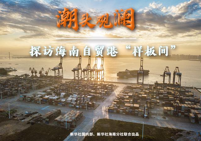 习近平总书记12日到海南洋浦经济开发区考察