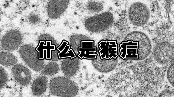 世卫组织：病毒猴痘疫情暴发预警