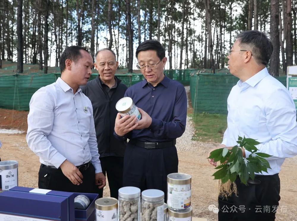 王予波在文山调研时强调：坚