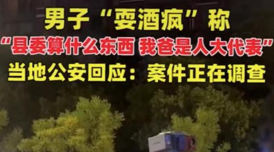 我爸是人大代表