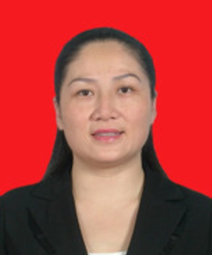 湖南统战部部长黄峥嵘被纪委