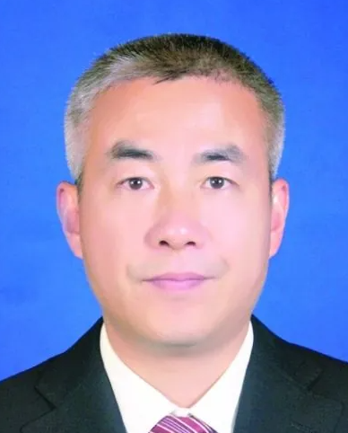 湖北武汉人大常委会副主任陈新垓被纪委调查