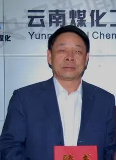 云南煤化工集团公司副董事长董光辉被中纪委调查