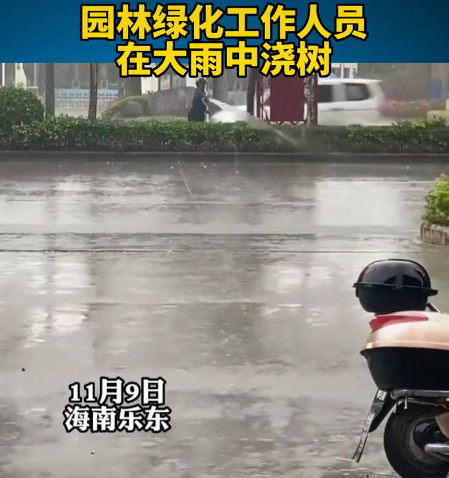 绿化员工下雨天给绿化带浇水是啥神操作