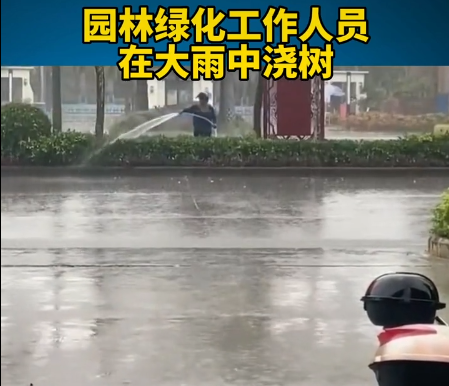 绿化员工下雨天给绿化带浇水是啥神操作