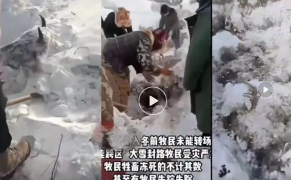 新疆天气多少度?阿勒泰7名工人因极寒天气遇难