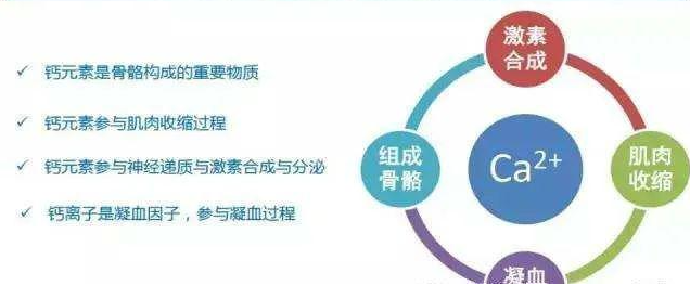 何为“钙镁离子”(钙镁离子