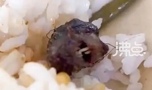 南昌市高新区市场监督管理局现场调查反复对比