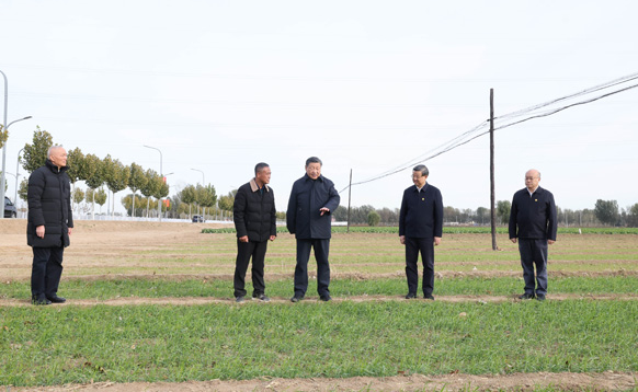 习近平在北京河北指导灾后恢复重建工作